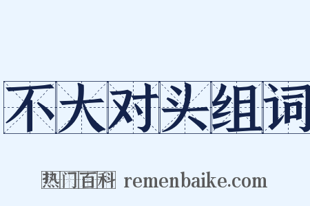 不大对头组词是什么意思的图片